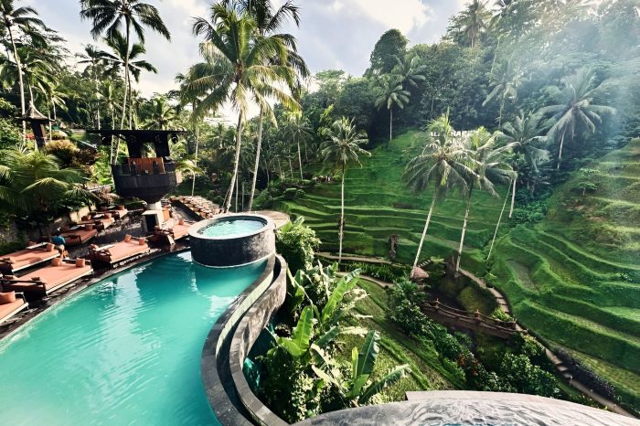 Bali’s Insta-Famous Spots: Waterfall, Swing & Pool Paradise