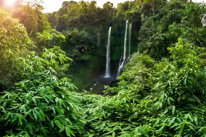 Majestic Sekumpul Waterfalls and Wanagiri Hills Tour